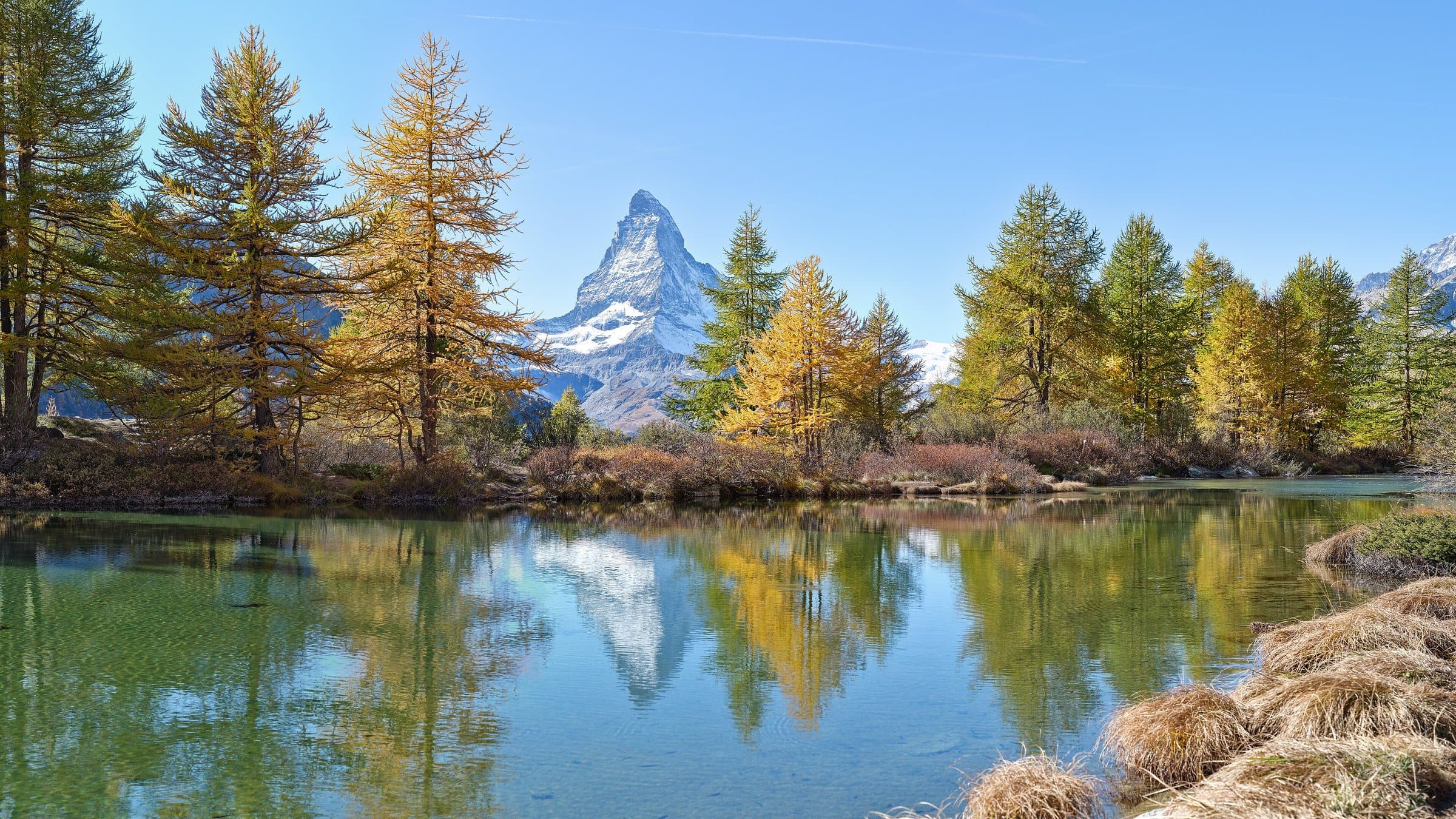 Swiss alpine precision